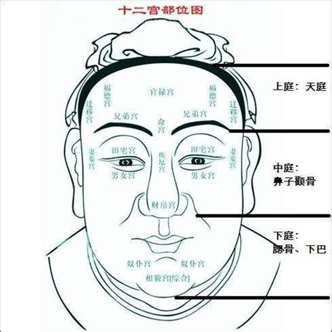 60歲面相|相學｜臉部告訴你的事！從五官解構命格必學入門知識